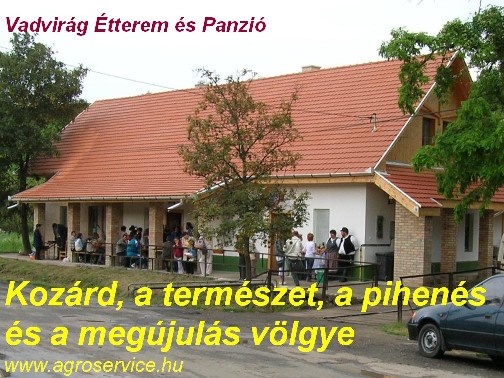 Vadvirág Vendégszobák