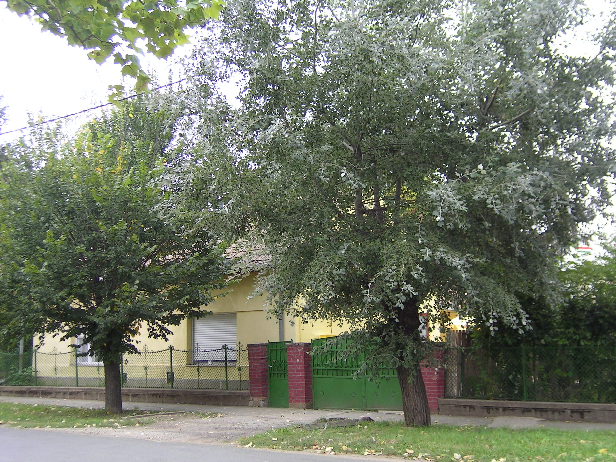 T.BOR Vendégház T.BOR Vendégház
